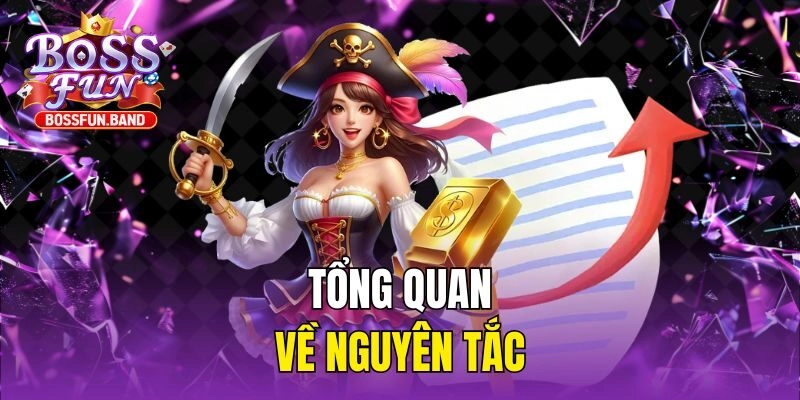 Tổng quan về nguyên tắc